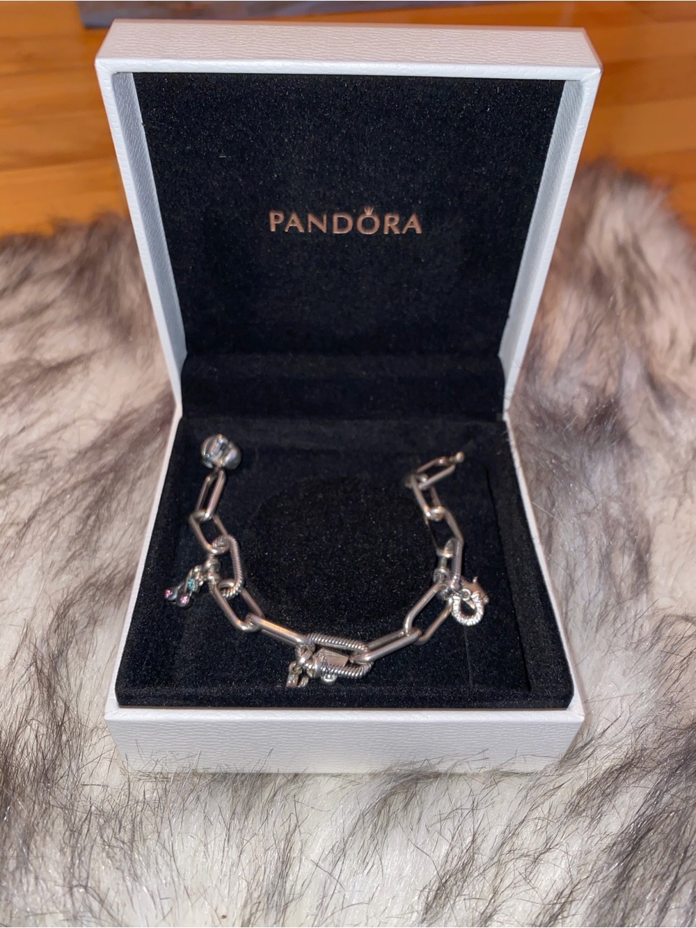 pandora bracelet with 6 charms